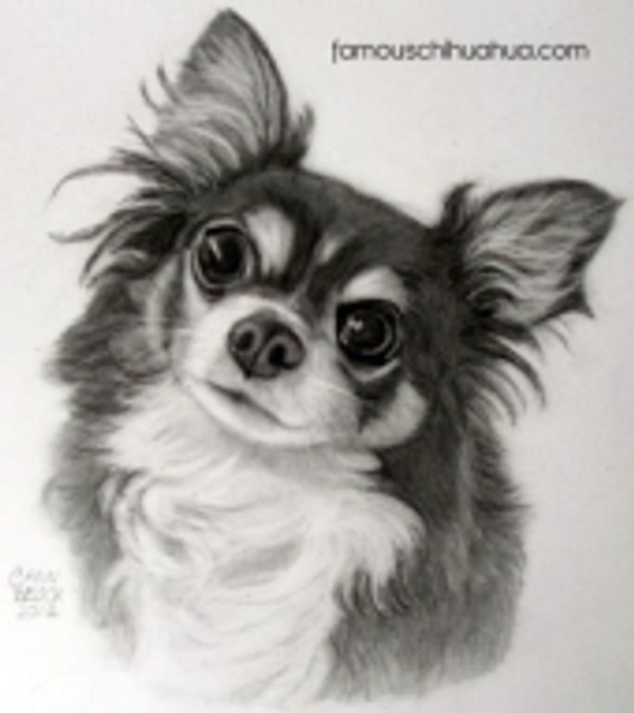 Tottie Murphy Profile Photo