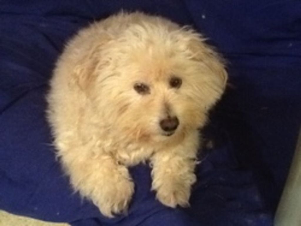 Oliver Baine Profile Photo