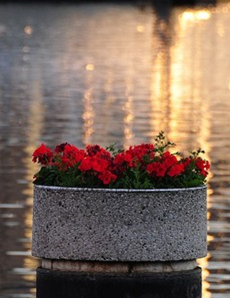 Claudia Hoefer Profile Photo