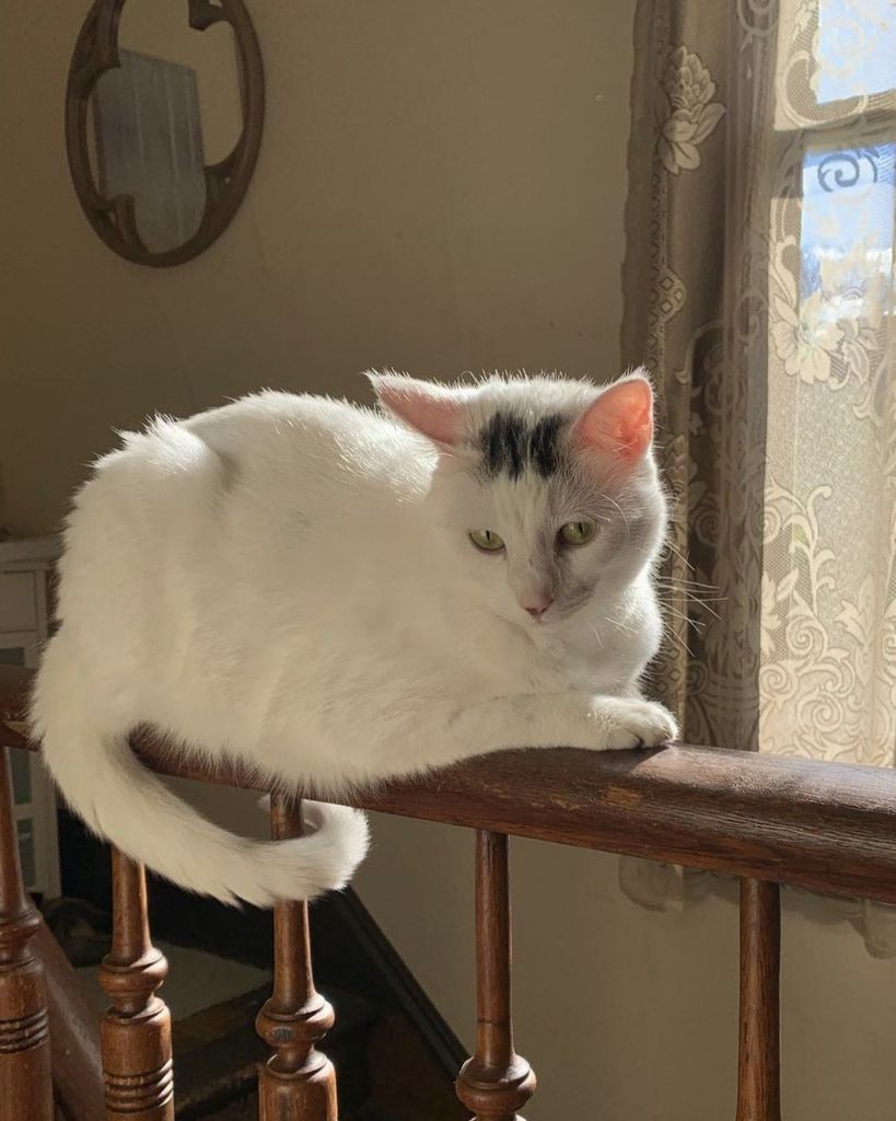Bazil W. Profile Photo