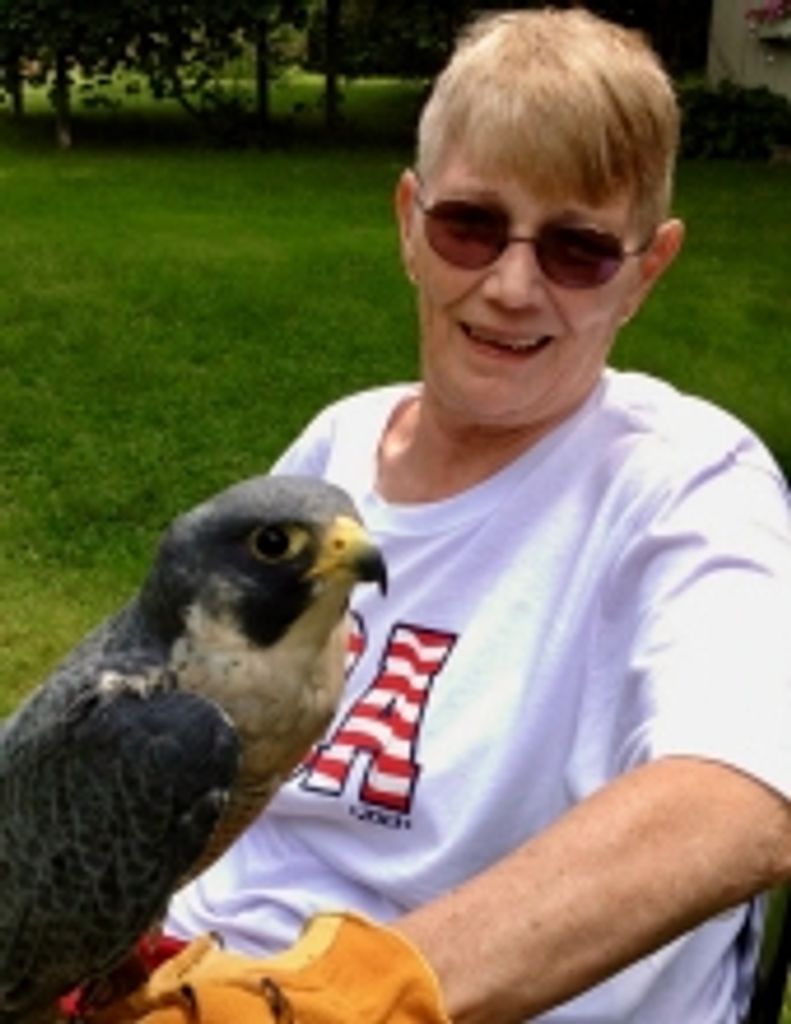 Julia (Willemin) Chase Profile Photo