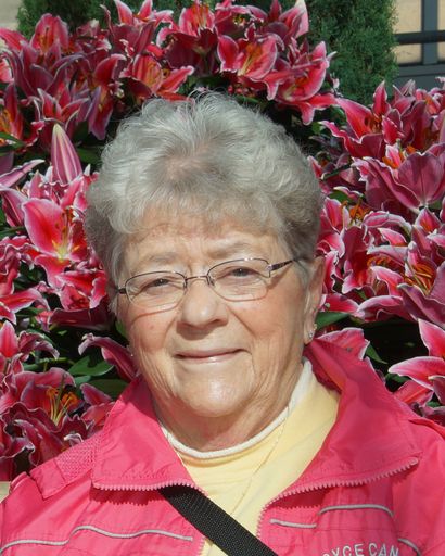 Phyllis Ann Overholser's obituary image