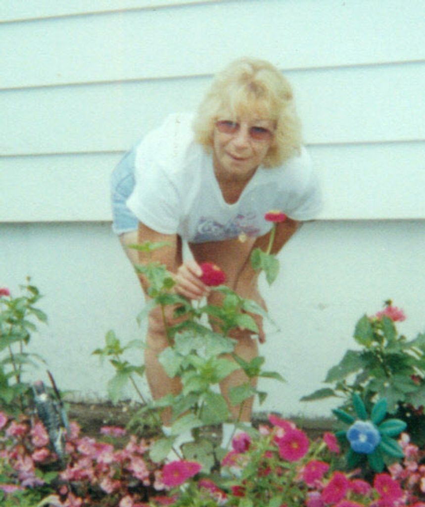 Marie Westberg Profile Photo