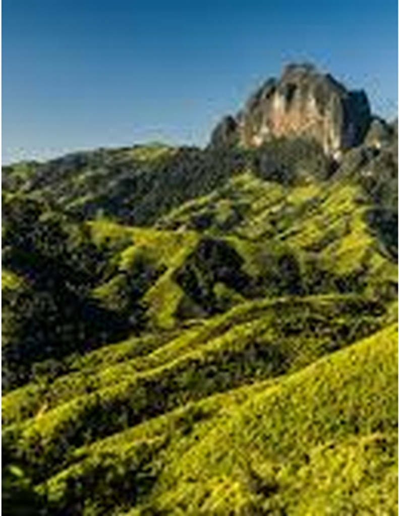 Raymond Jackson Prewitt