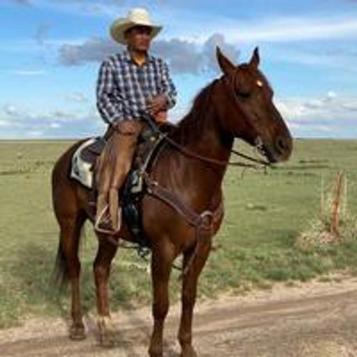 Daniel Ramone Profile Photo