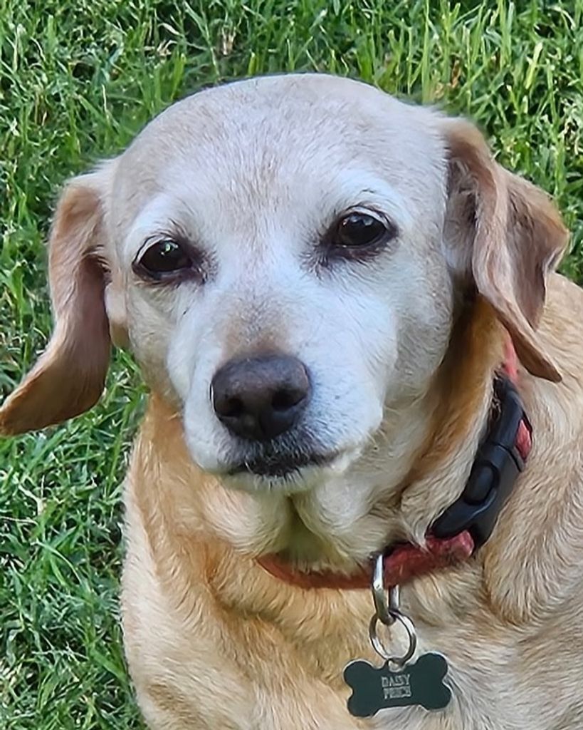 Daisy 🖤 Profile Photo