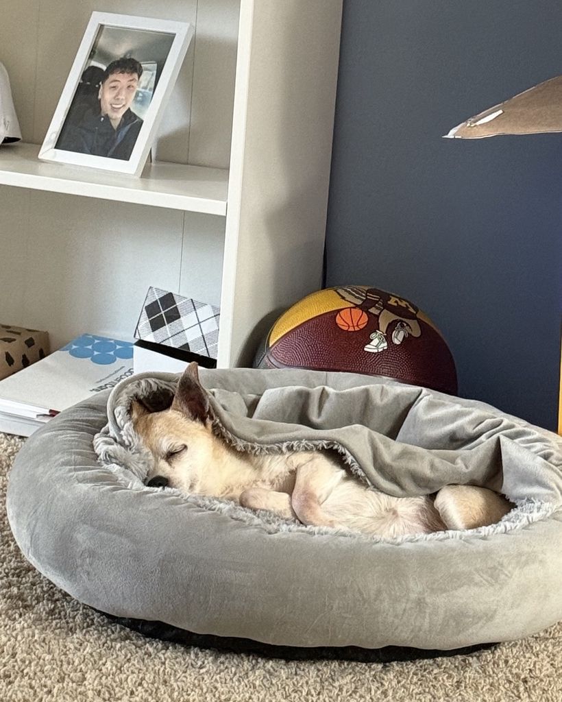 Maggie Vang Profile Photo