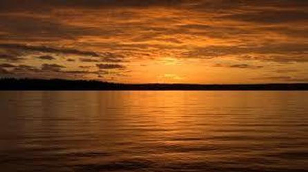 Ronnie D. Johnston Profile Photo