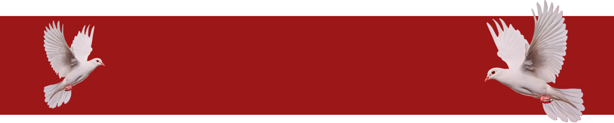 Cover for Shauvin Maurice Horsley Jr.'s Obituary