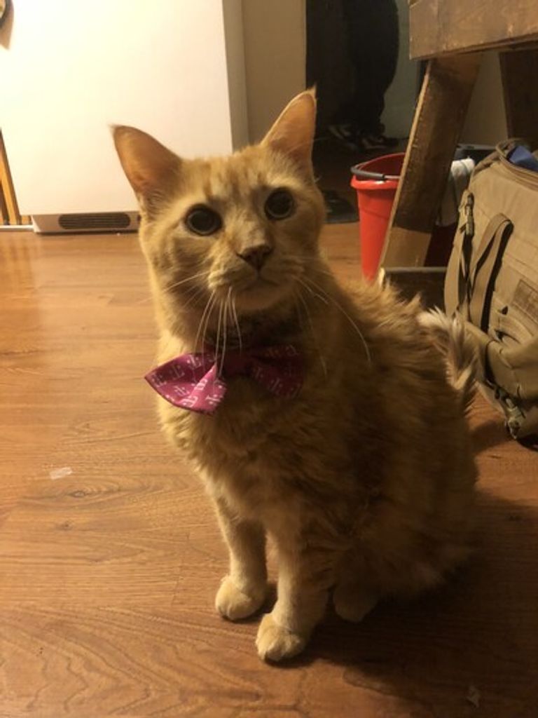 Buster Bell Profile Photo