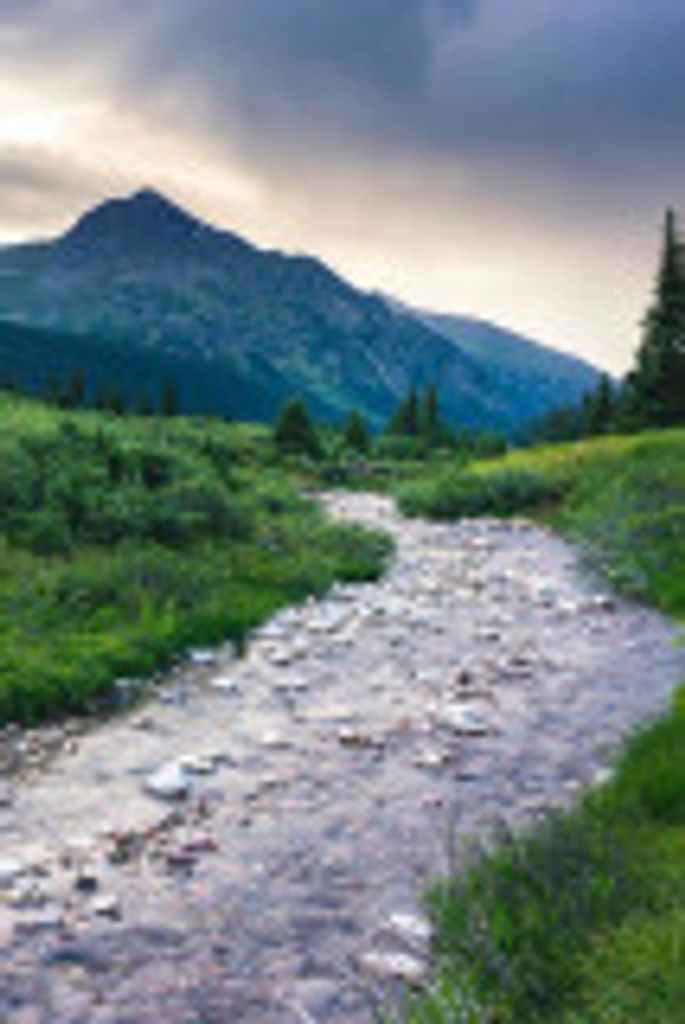 Kathryn Spillers Profile Photo