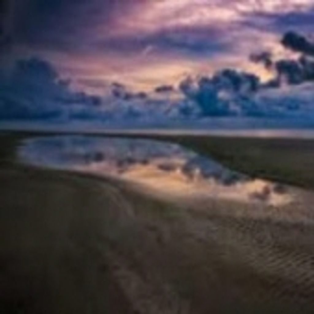 Vernon Lester Daniels