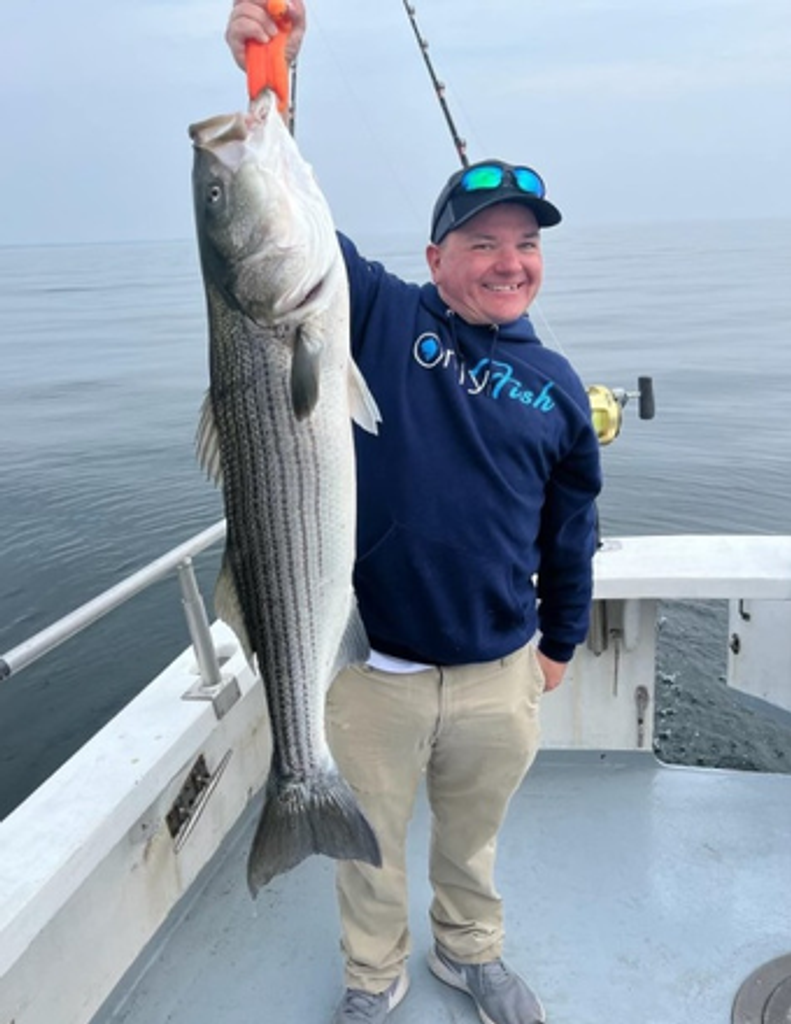 Will Riddell Hovarter