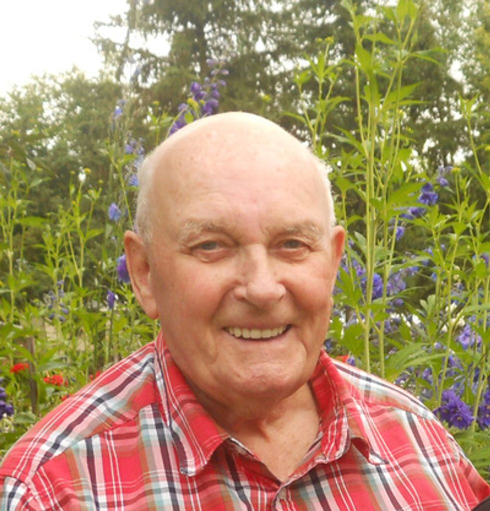 Patrick O'Halleran Profile Photo