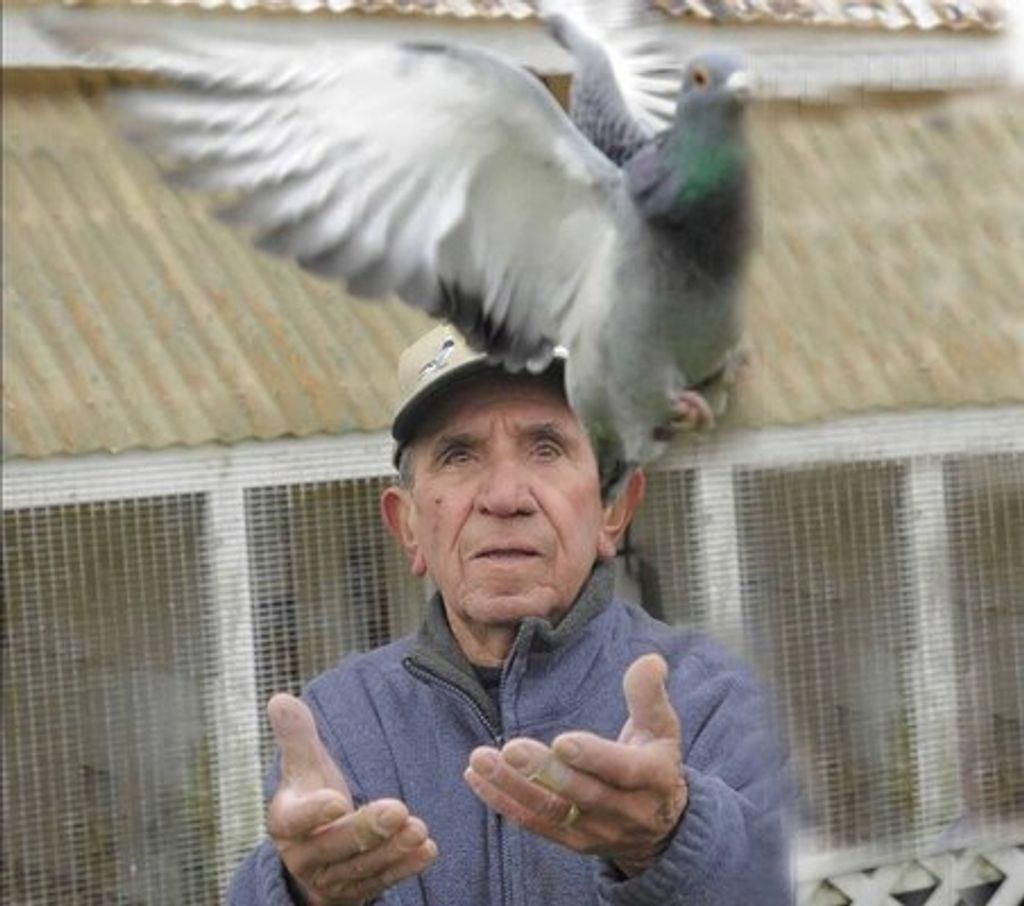 Raymond C, Sebastiao Profile Photo