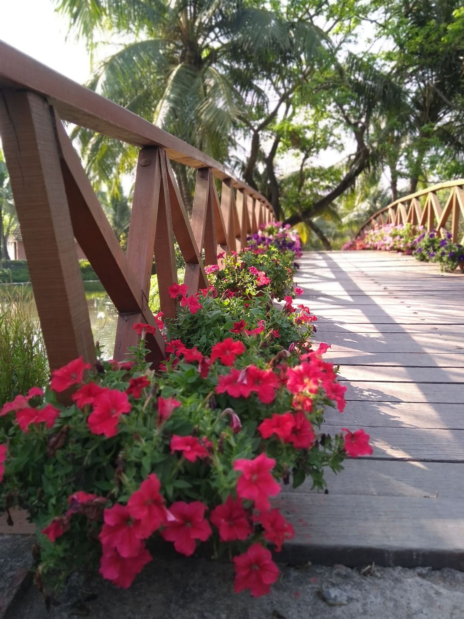 Cover photo for Donna Kay Trefz's Obituary
