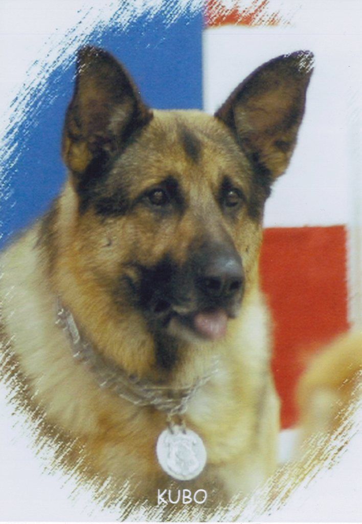 K9 Officer Kubo Casto Profile Photo