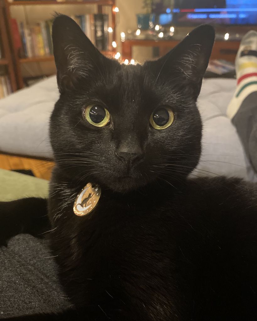 Beans Profile Photo
