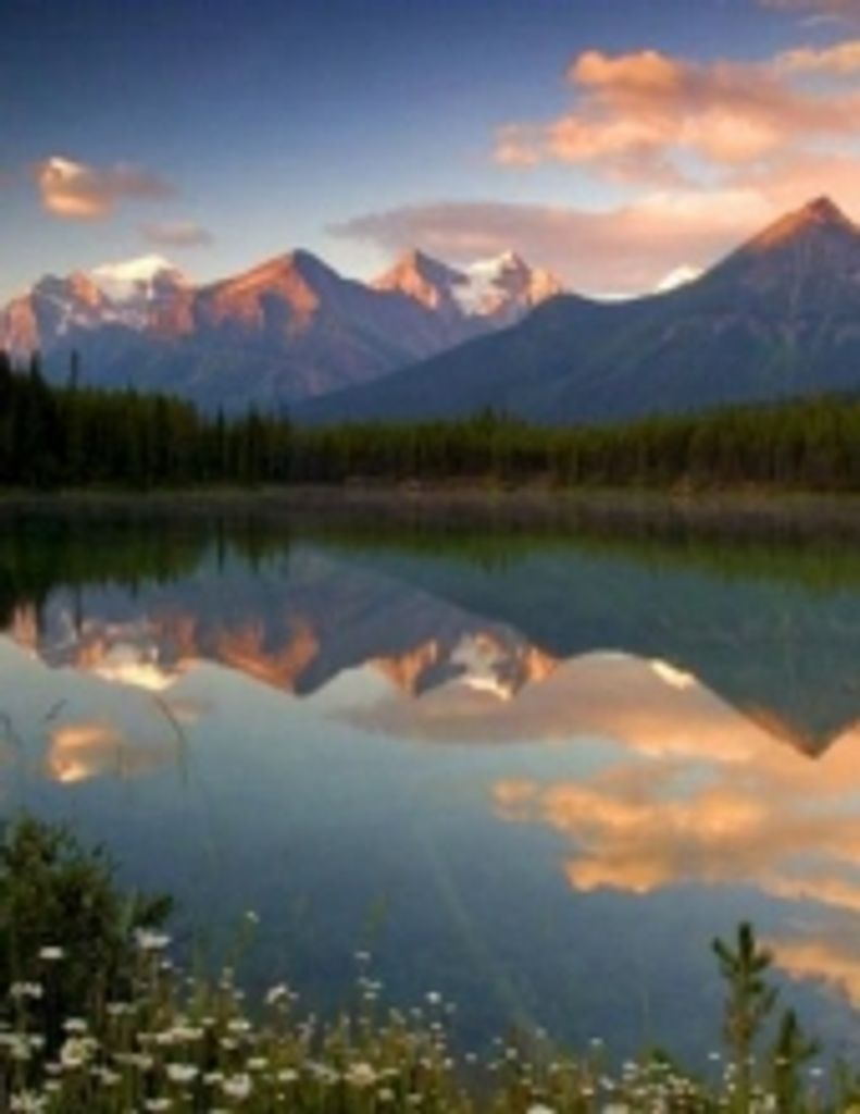 Adrian Darrell Bolton (Gwfh)