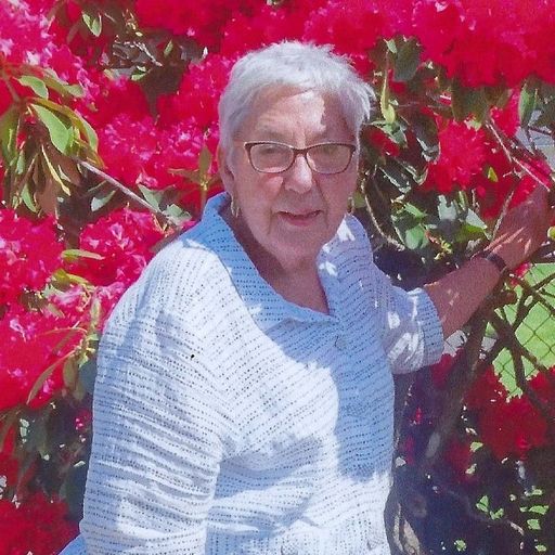 Phyllis Ann Zook Profile Photo