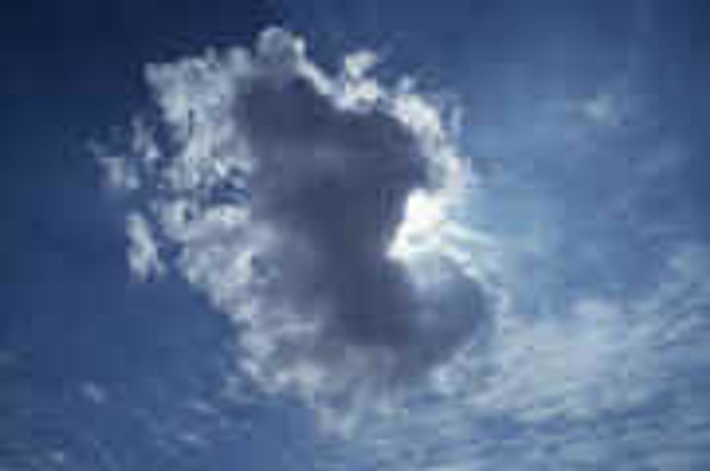 Elaine Simmester Profile Photo