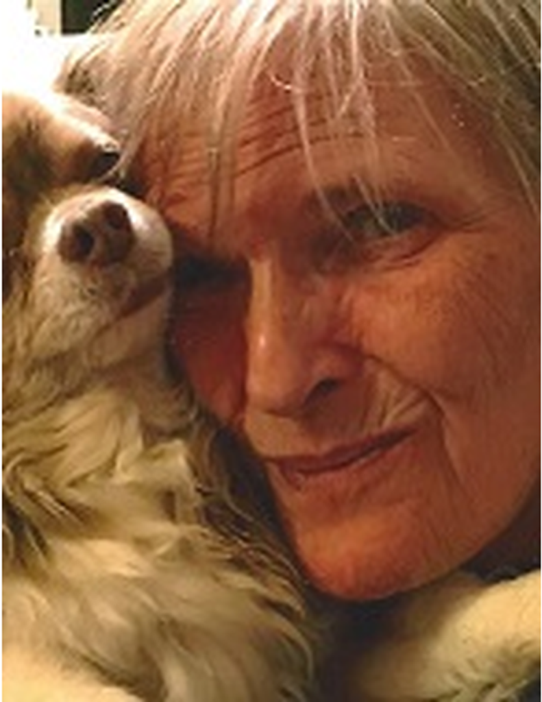 Patricia  L. Direnzo Profile Photo