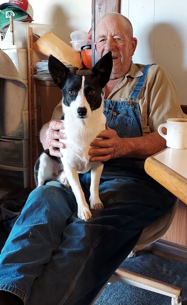 Eldon D. Marshall Profile Photo