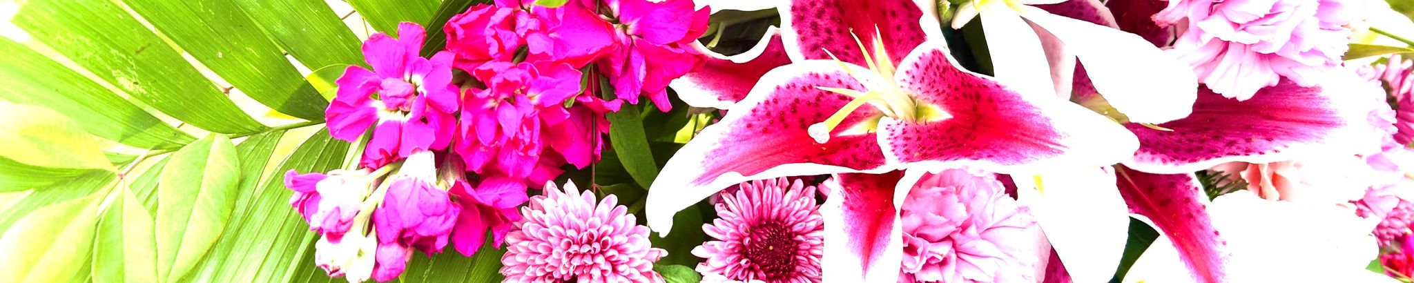 Cover photo for Antoinette Delaney's Obituary