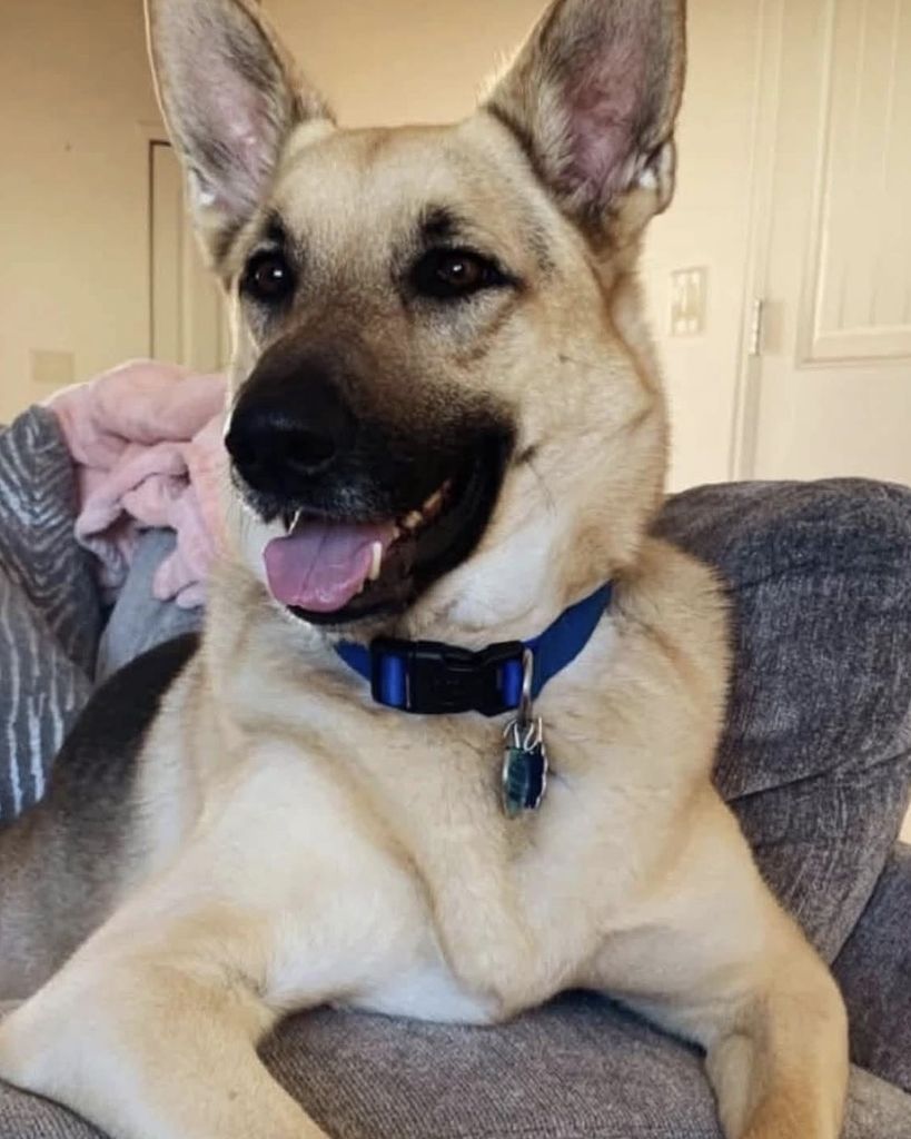 Thor Jacot Profile Photo