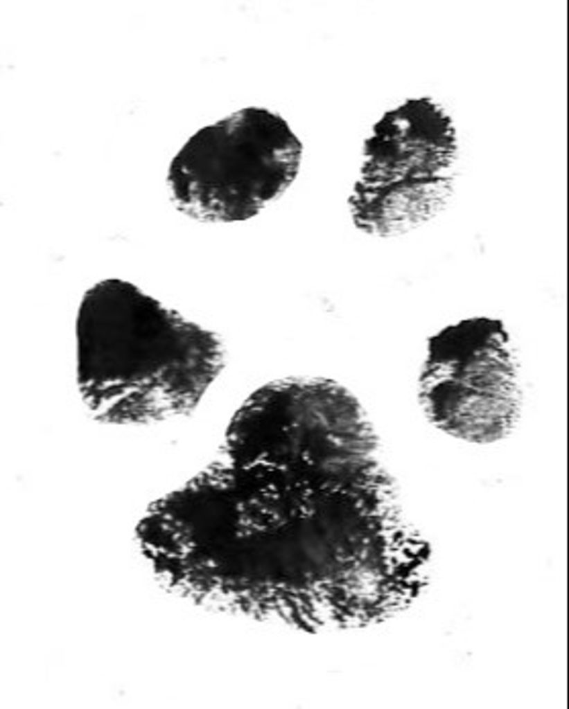 Chance Martin Profile Photo