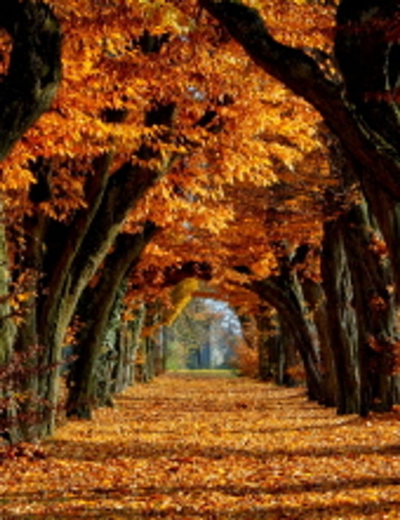 William Henry Harris