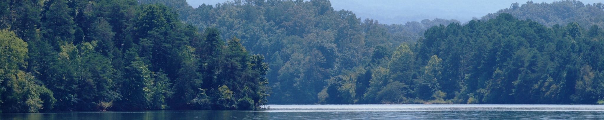 Cover for William Wilson's Obituary