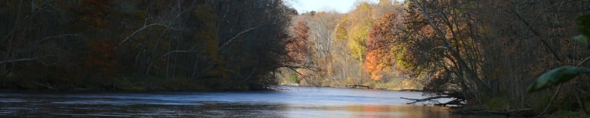 Cover for Patricia Reed's Obituary