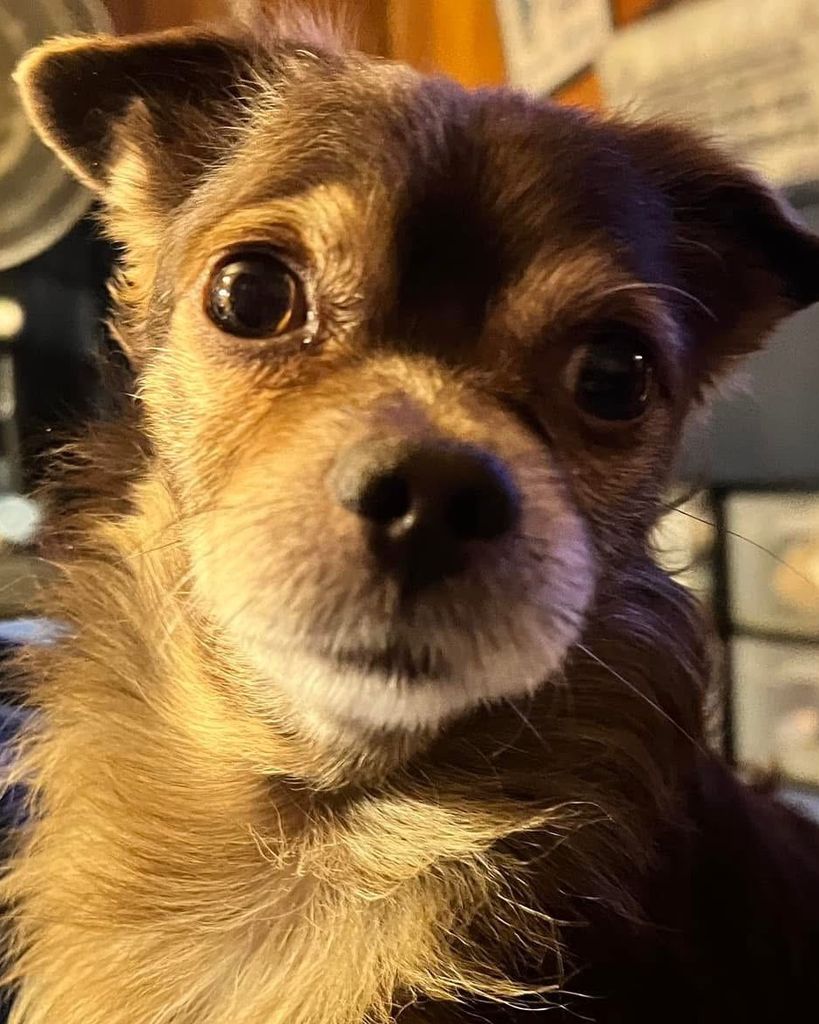 Buckee Leo Edwards Profile Photo