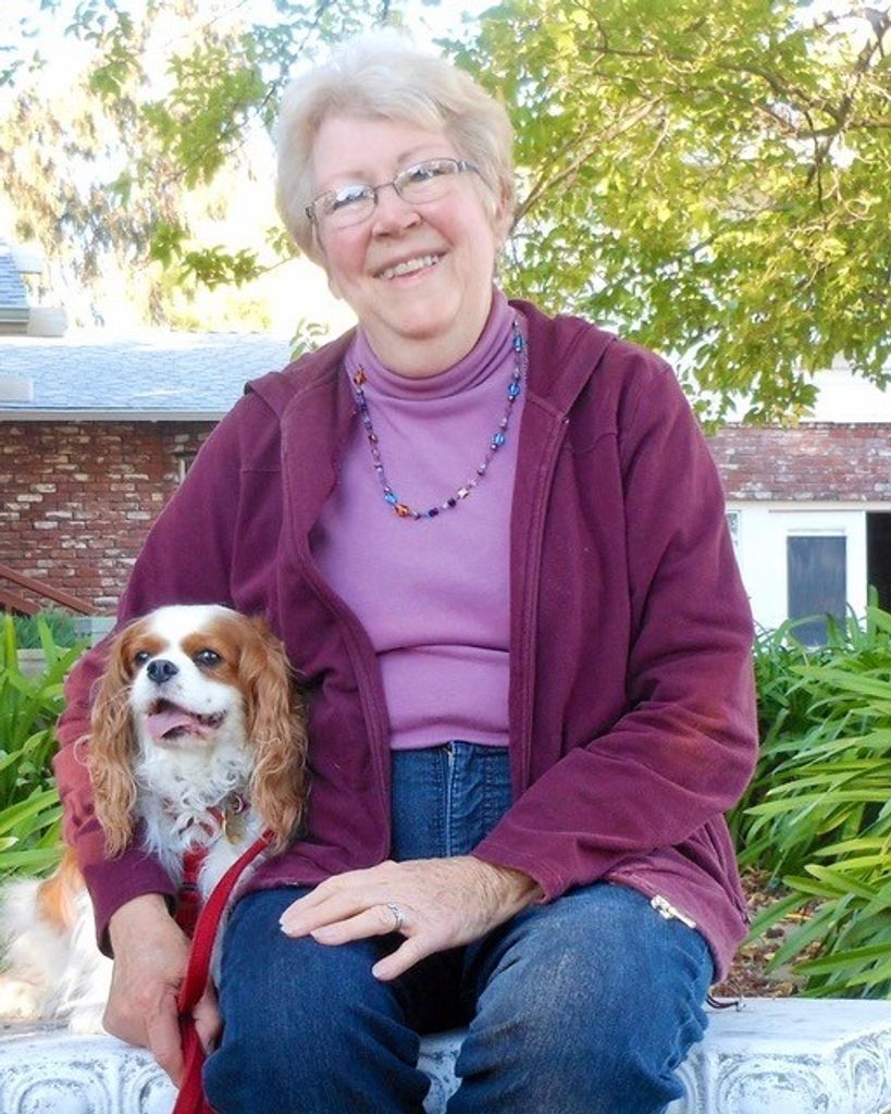 Mary Ann Renzi Profile Photo
