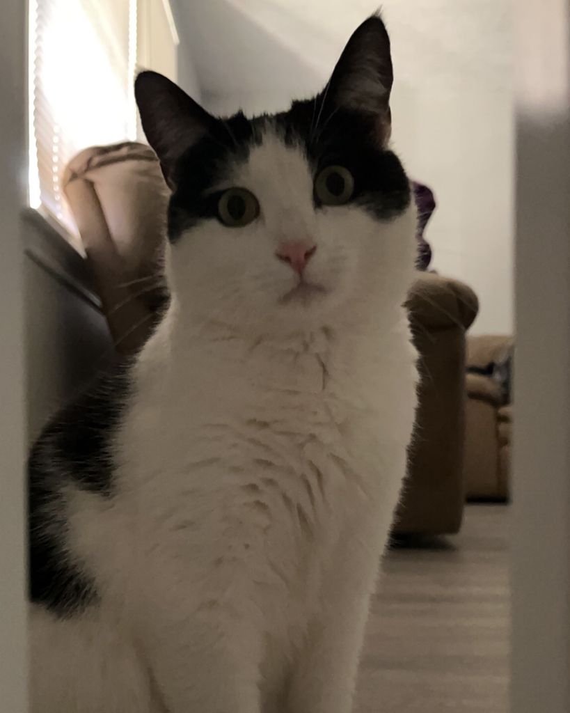 Nudges Owens Profile Photo