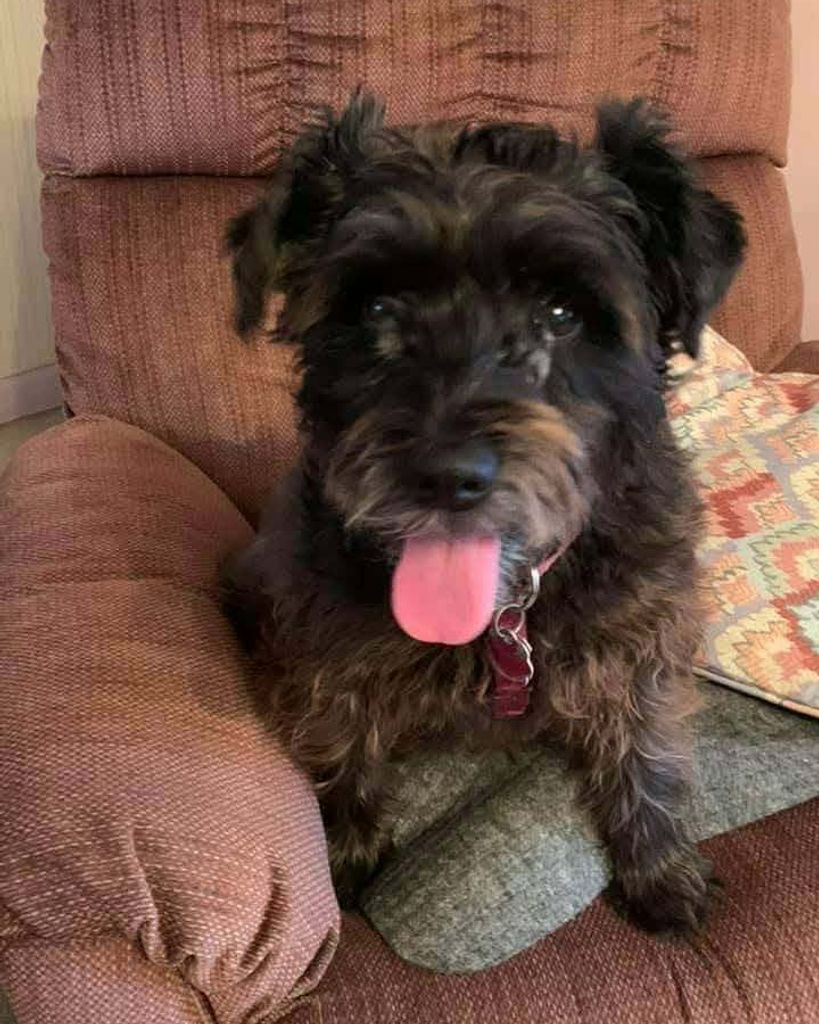 Hope Brown Profile Photo