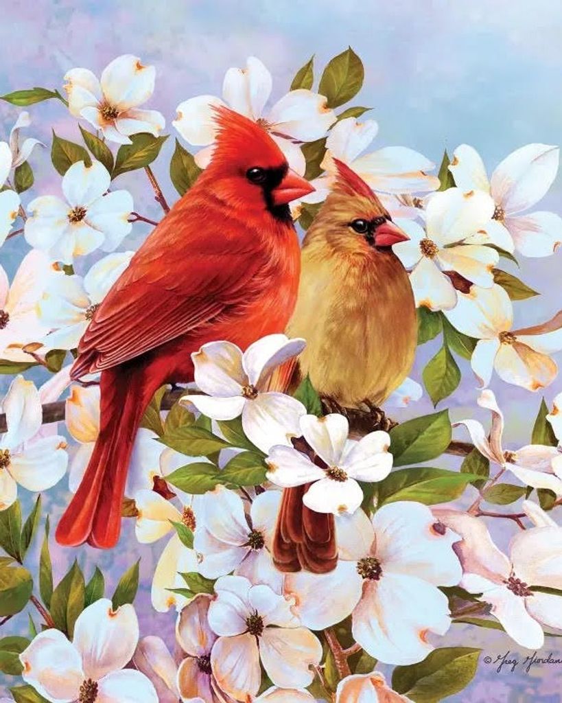 Lora Hollandsworth Gunter Profile Photo