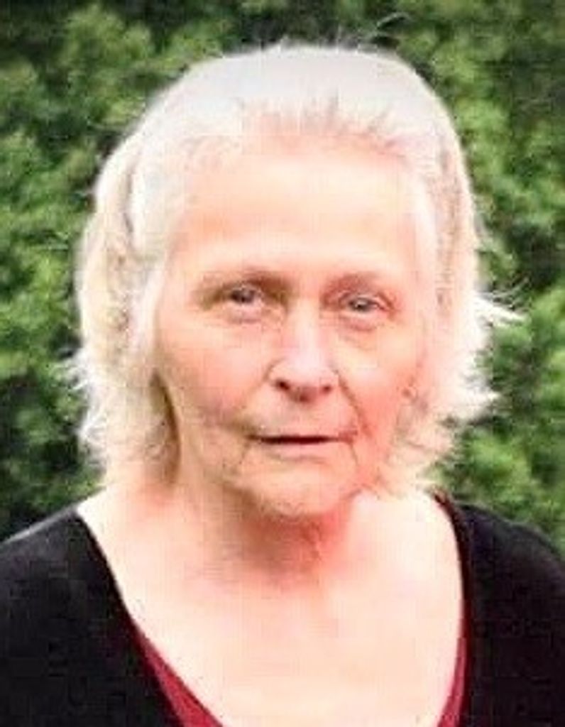 Lorena Diane (Dennis)  Burris