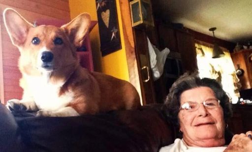 Norma Jean (Hamm)  Belcher photo gallery thumbnail 31 of 60