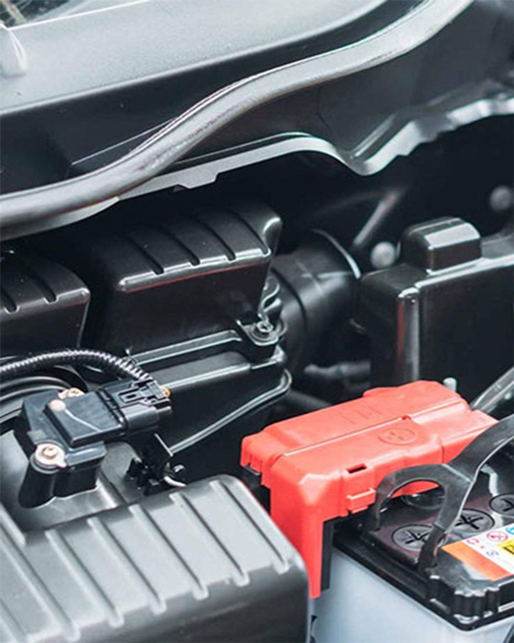 Cover for Waite Adolphus Ellis's Obituary