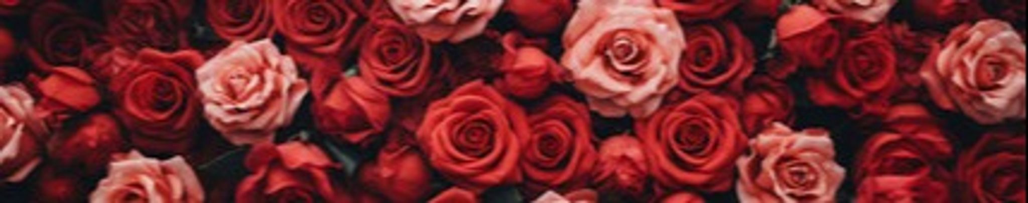 Cover photo for Barbara Anne Williams O'Briant's Obituary