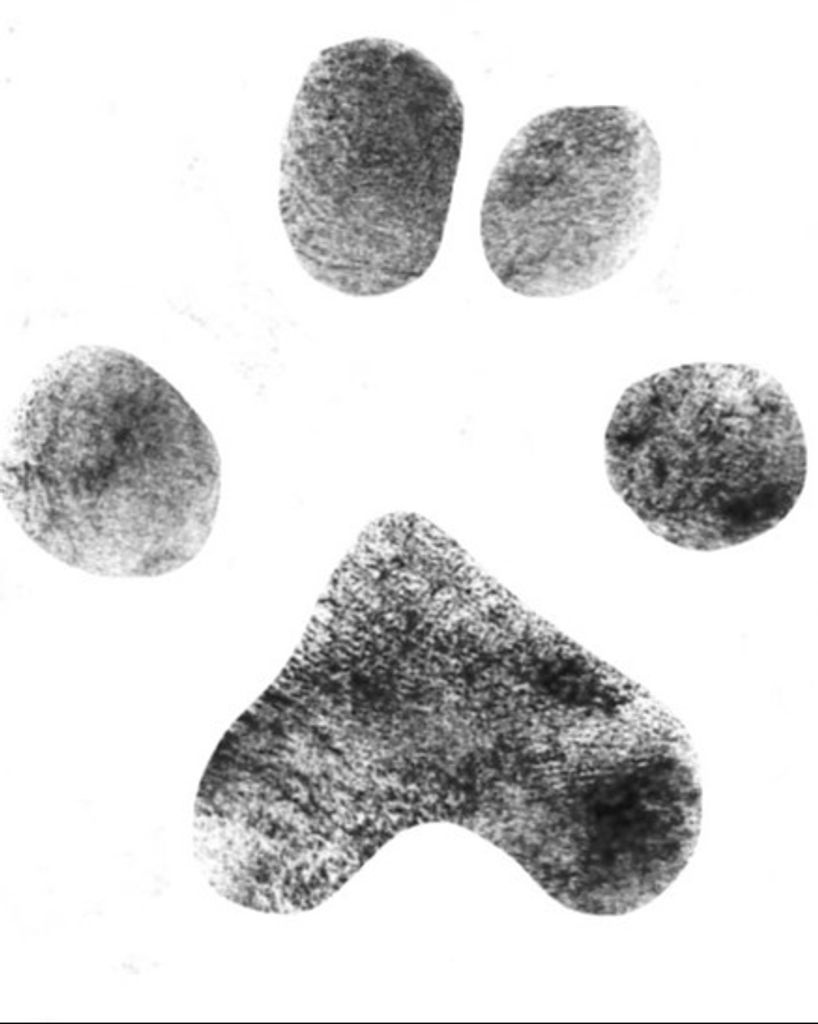 Molly Isenhour Profile Photo