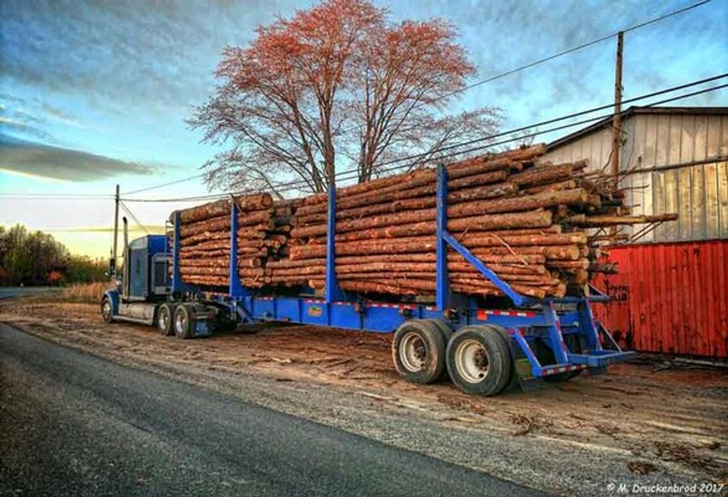 John Frank Massie Profile Photo
