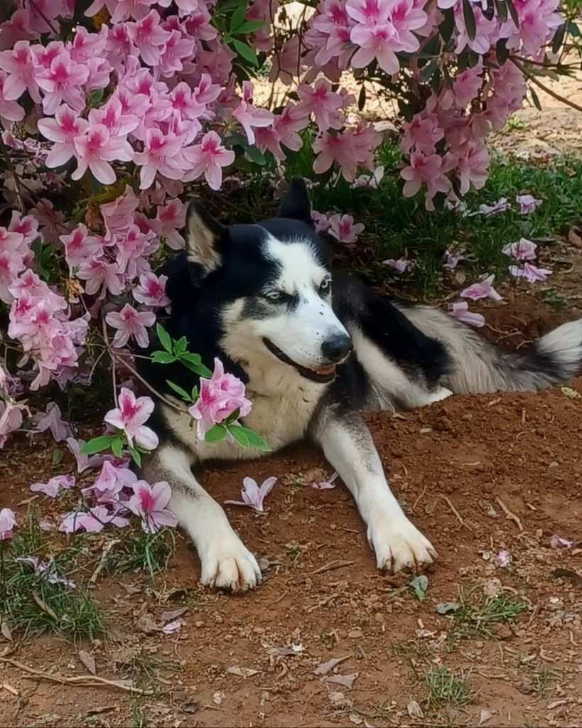 Victor Wiley Profile Photo