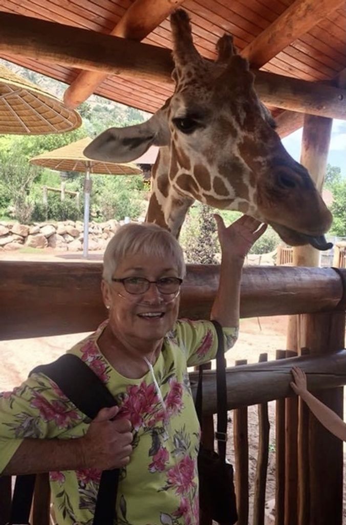Phyllis A. Terborg Profile Photo