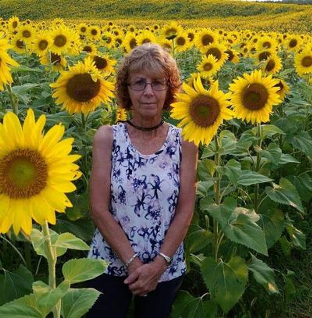 Susan Lynn Mckee Profile Photo