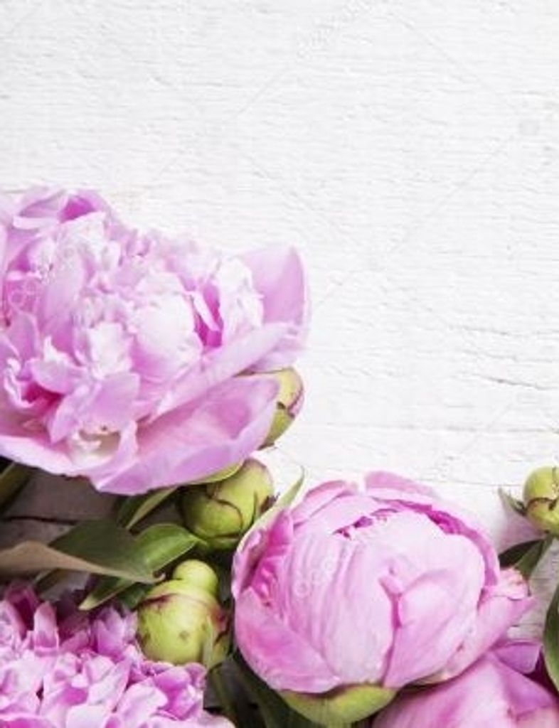 Valerie Donnelly Profile Photo