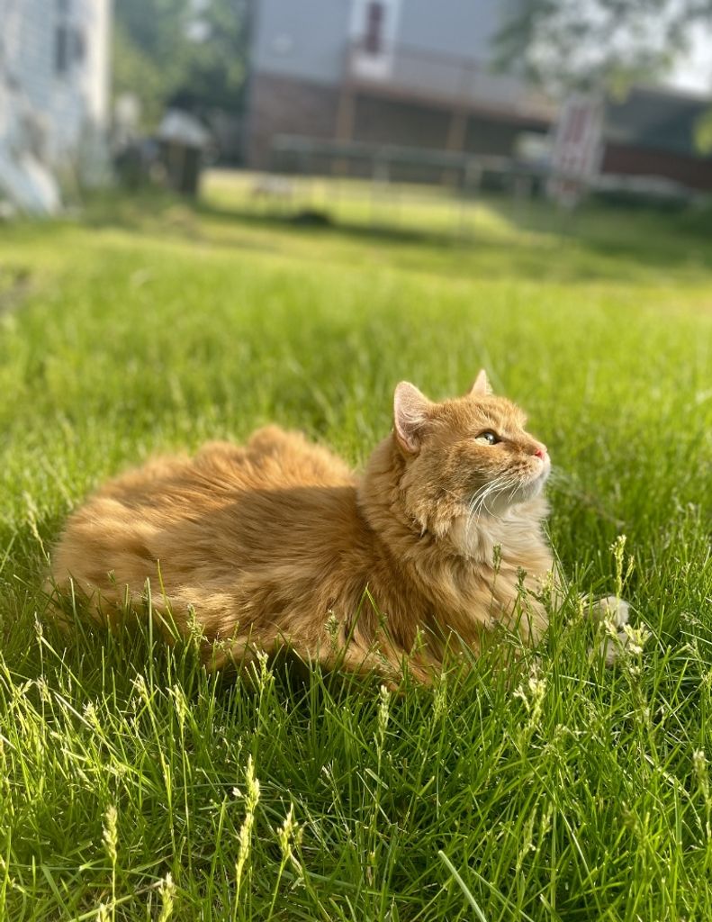 Puff Donahey Profile Photo