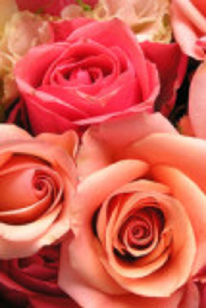 Virginia  Kay Demik Profile Photo